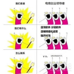 店淘精細化運營技術轉讓